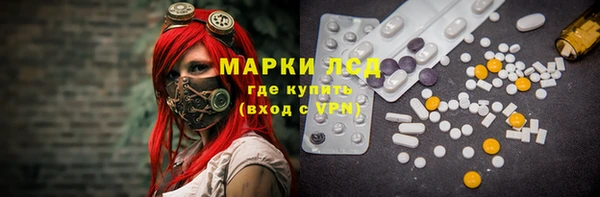 ПСИЛОЦИБИНОВЫЕ ГРИБЫ Козловка