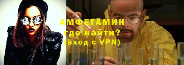 ПСИЛОЦИБИНОВЫЕ ГРИБЫ Козловка