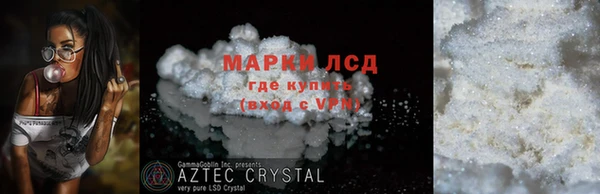 ПСИЛОЦИБИНОВЫЕ ГРИБЫ Козловка
