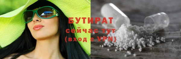 ПСИЛОЦИБИНОВЫЕ ГРИБЫ Козловка