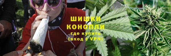 ПСИЛОЦИБИНОВЫЕ ГРИБЫ Козловка
