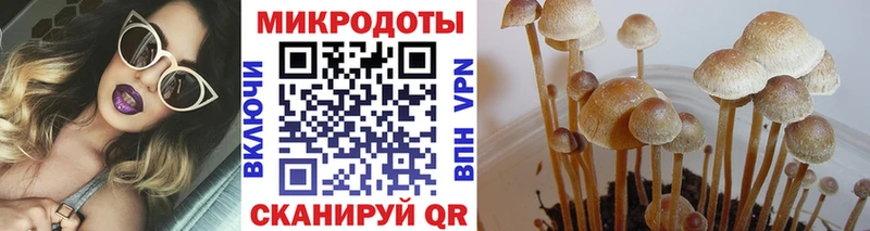 Галлюциногенные грибы мицелий  Купить  Заринск 